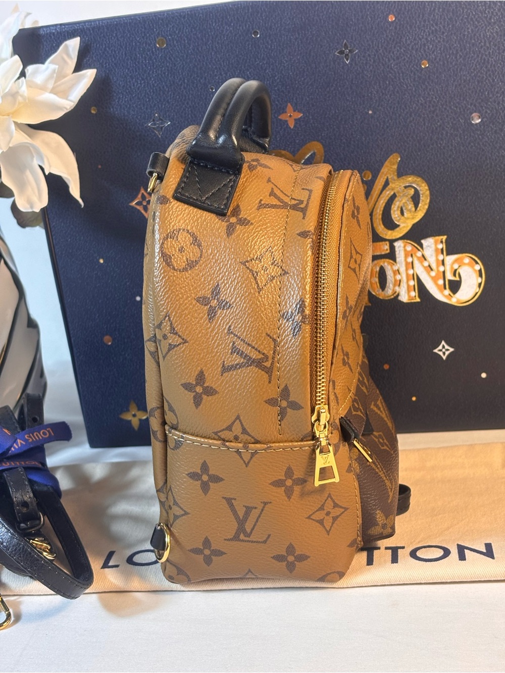 Louis Vuitton Reverse Palm Springs Mini - Picture 7 of 16